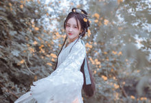 云浅-寻众里,觅无休,纷纷落叶亦温柔.随风舞到深情处,片片如卿一树秋.-云浅