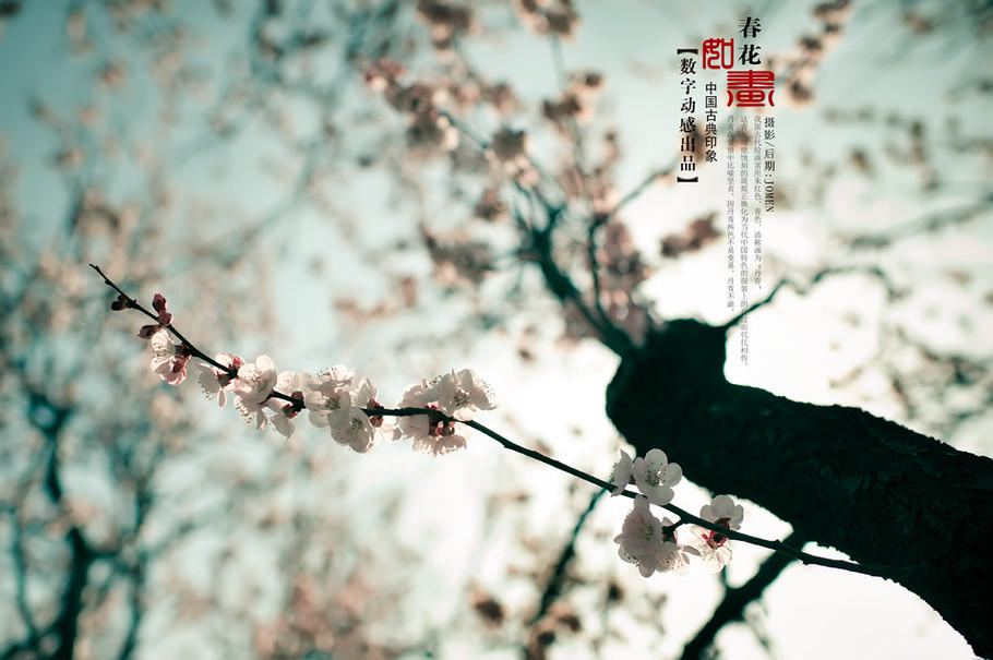 清浅-江山春色醉红尘
